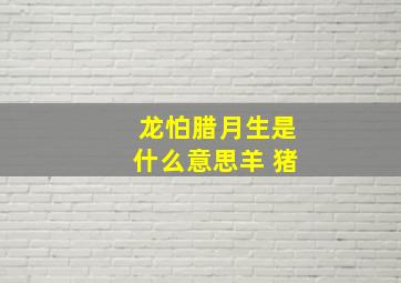 龙怕腊月生是什么意思羊 猪